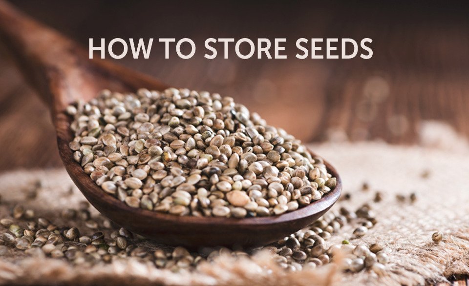 How to store cannabis seeds
