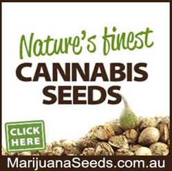 MarijuanaSeeds.com.au