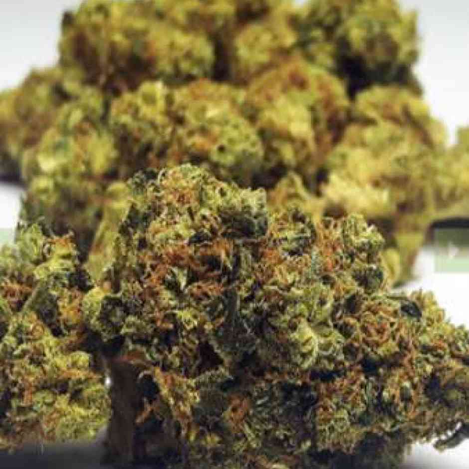 Gorilla Glue Cannabis Seeds