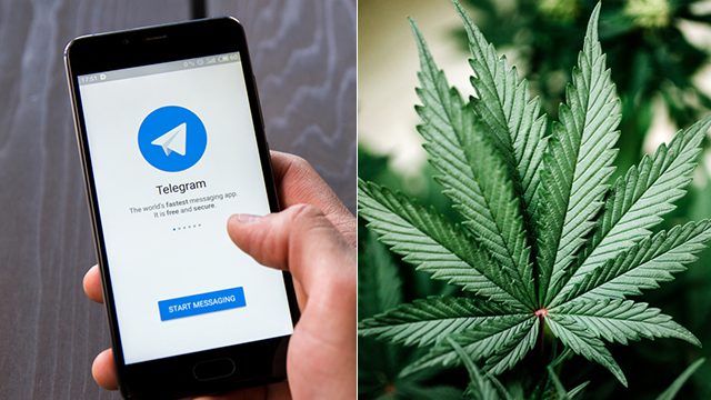 Telegram Cannabis Sales
